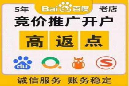精准投放，sem竞价代运营的五大成功投放案例